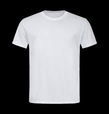 Pretend this is a shirt